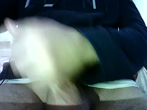 photo3995 online show from 01.12.26