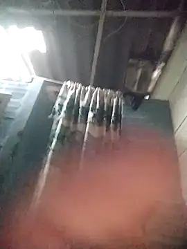 NachitoVidaldota online show from 04.01.26