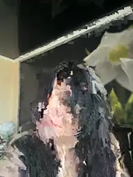 Liza Will online show from 04.27.26