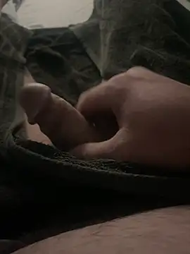 BobKat online show from 03.23.26