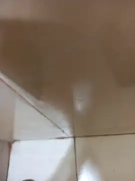 Snapshot of vboli08 chatting on 10.24.25 vboli08 online show from 10.24.25