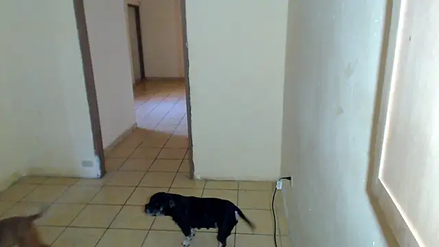 BlondZilla online show from 02.01.26