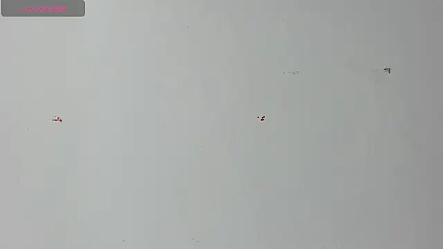 Lady miss    online show from 04.18.26