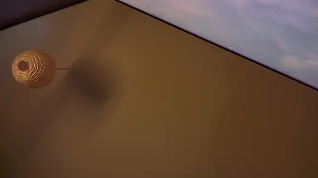 MasterDaddyCool online show from 01.08.26