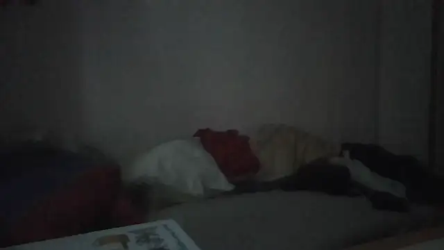 ARTANIS20 online show from 01.11.26