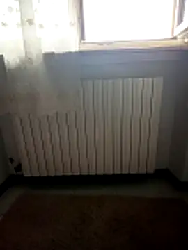 alicepavia22 online show from 04.10.26