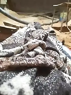 ParousFlow online show from 10.11.25