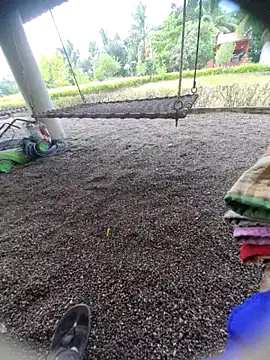 Desi Horny Boys online show from 09.15.25