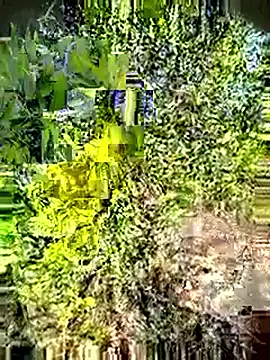 Desi Horny Boys online show from 05.03.26
