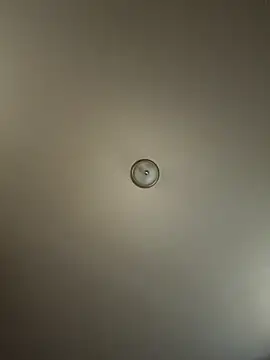 curis4270panda online show from 10.20.25