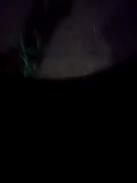 Snapshot of mkallu1995 chatting on 02.18.26 mkallu1995 online show from 02.18.26