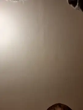 gazb90 online show from 11.14.25