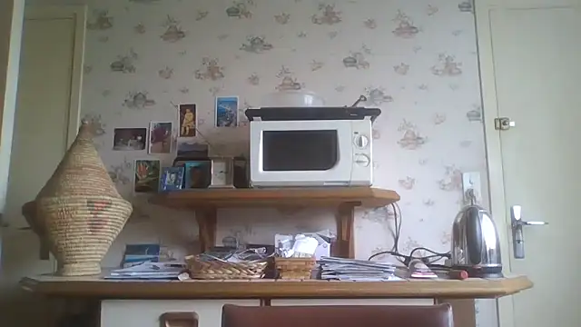 gegevincent online show from 05.03.26