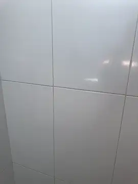 Brinquedo-da-zoe online show from 03.15.26