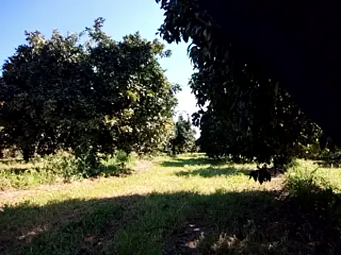 Snapshot of stefanoss321 chatting on 03.09.26 stefanoss321 online show from 03.09.26