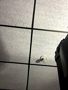 MR MUSCLE online show from 09.19.25