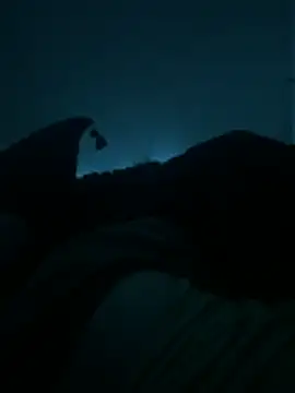 bjarson123 online show from 02.11.26