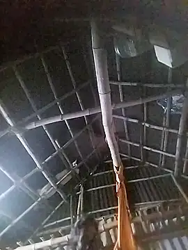 Tamilauntyhot online show from 11.19.25