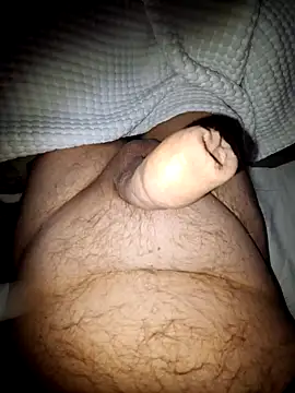 Snapshot of minnetird chatting on 10.27.25 minnetird online show from 10.27.25