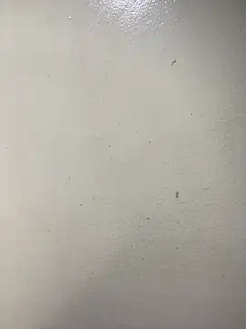 Issa Santana online show from 02.21.26