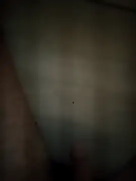 Patressssss online show from 04.18.26