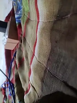 Telugu person12 online show from 02.16.26