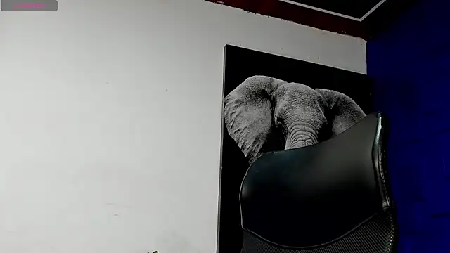 Snapshot of king_falconer chatting on 11.17.25 king falconer online show from 11.17.25