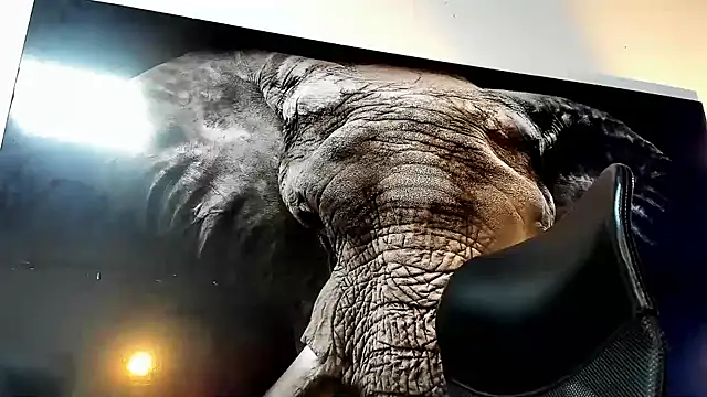 Snapshot of king_falconer chatting on 11.22.25 king falconer online show from 11.22.25