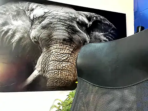 Snapshot of king_falconer chatting on 11.24.25 king falconer online show from 11.24.25