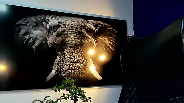 Snapshot of king_falconer chatting on 11.27.25 king falconer online show from 11.27.25