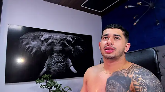 king falconer online show from 01.06.26