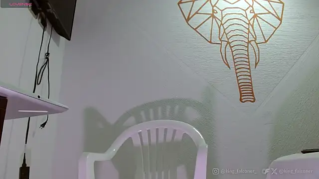 king falconer online show from 02.21.26