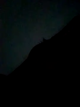 Snapshot of CatchingBouquet chatting on 09.21.25 CatchingBouquet online show from 09.21.25