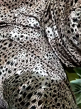 Dassing strip couple online show from 04.05.26