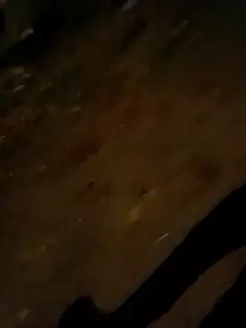 Snapshot of jvdzj-0_ chatting on 10.28.25 jvdzj-0  online show from 10.28.25