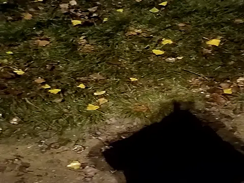 Snapshot of jvdzj-0_ chatting on 10.29.25 jvdzj-0  online show from 10.29.25