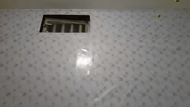 Roselingalvis13 online show from 02.02.26