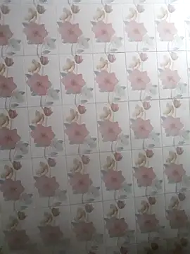 Snapshot of bhaijaan66 chatting on 11.25.25 bhaijaan66 online show from 11.25.25