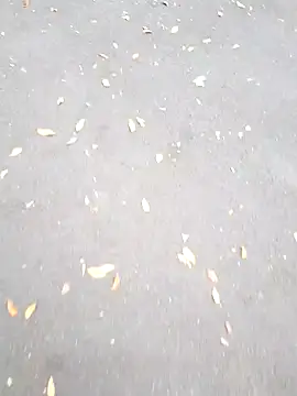 Arya Lexy online show from 10.26.25