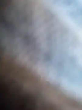 guridosul051 online show from 10.15.25