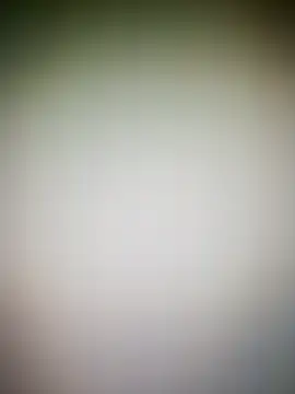 guridosul051 online show from 03.17.26