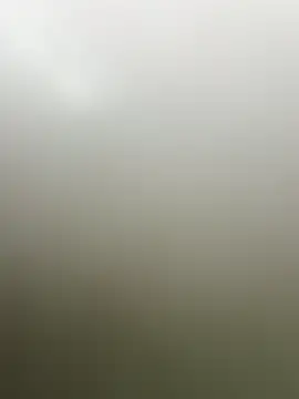 guridosul051 online show from 04.20.26