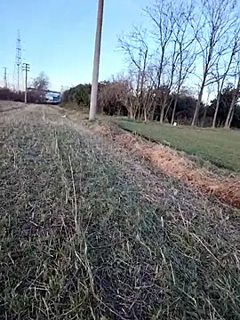 Prince-sexy online show from 01.06.26