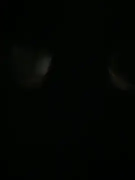 Snapshot of Archie-Davis chatting on 10.31.25 Archie-Davis online show from 10.31.25