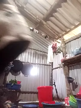 jienrrr online show from 12.17.25