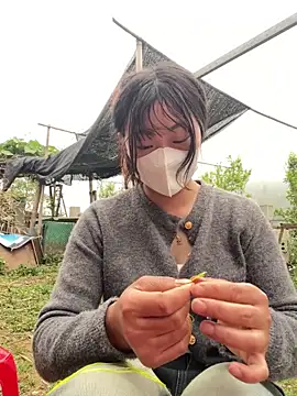 isaaa5 online show from 04.17.26