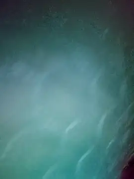 daisylouis online show from 04.02.26