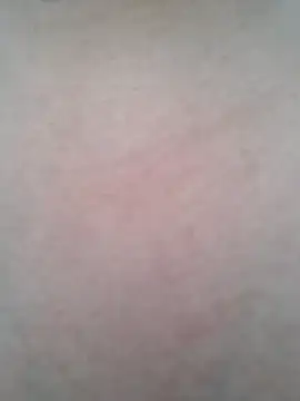 Snapshot of BigBoobs186 chatting on 10.20.25 BigBoobs186 online show from 10.20.25