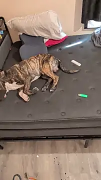 Cnutt310 online show from 03.02.26