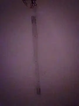 Bebita-zmp online show from 03.28.26